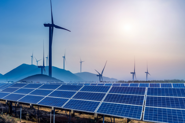 India could be largest contributor for the renewable sector in 2021